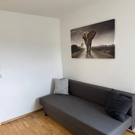 Daire Lakeview Schluchsee